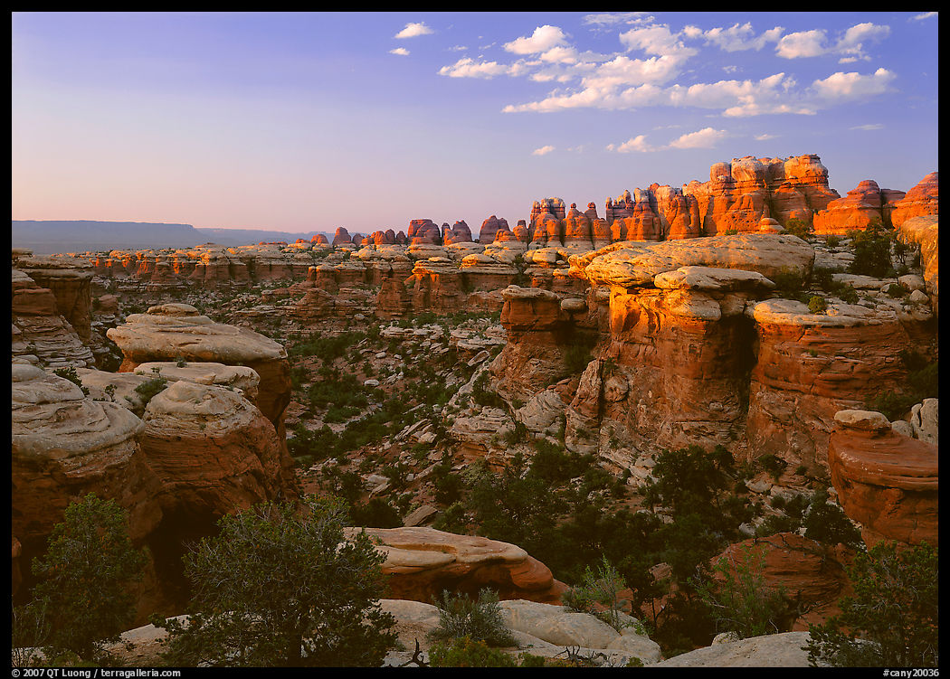 Needles at sunset. Canyonlands National Park