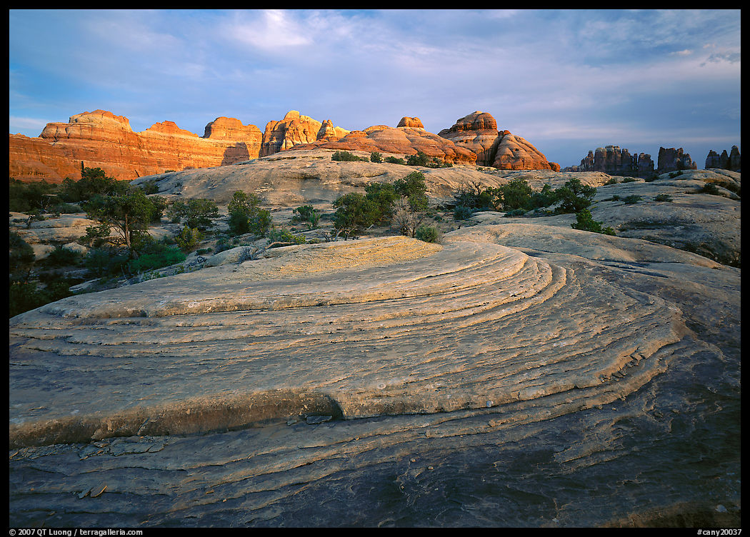 Rock swirls and spires at sunset, Needles District. Canyonlands National Park, Utah, USA.