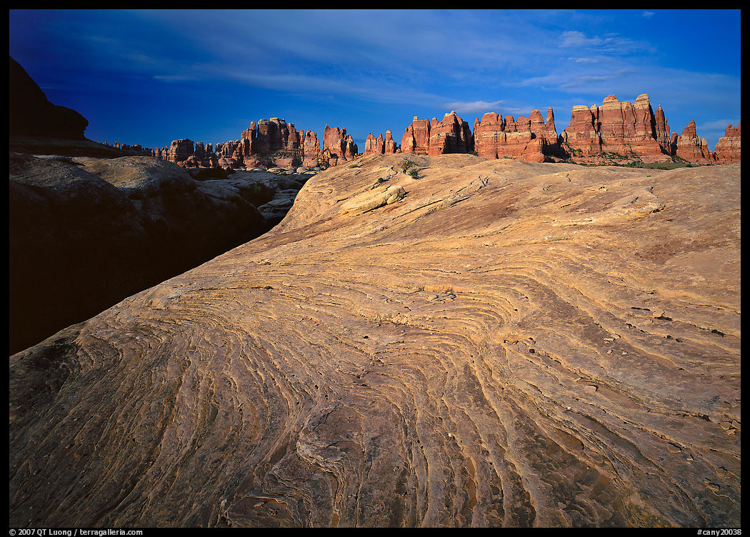 Sandstone swirls and Needles near Elephant Hill at sunrise, the Needles. Canyonlands National Park, Utah, USA.