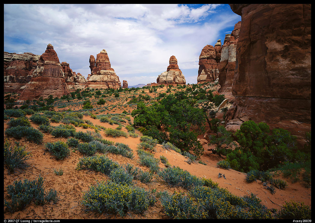 Sandstone towers, Chesler Park. Canyonlands National Park, Utah, USA.