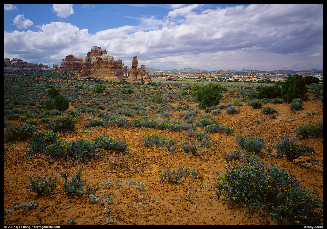 Chesler Park. Canyonlands National Park