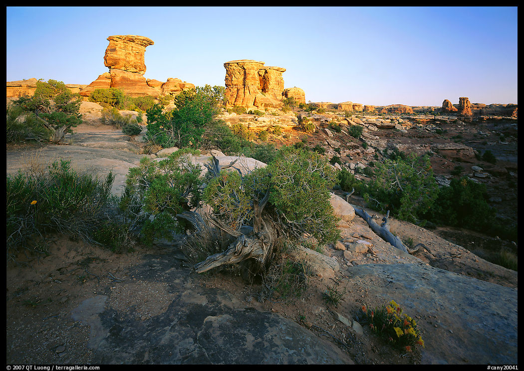 Spires at Big Spring Canyon, Needles District. Canyonlands National Park