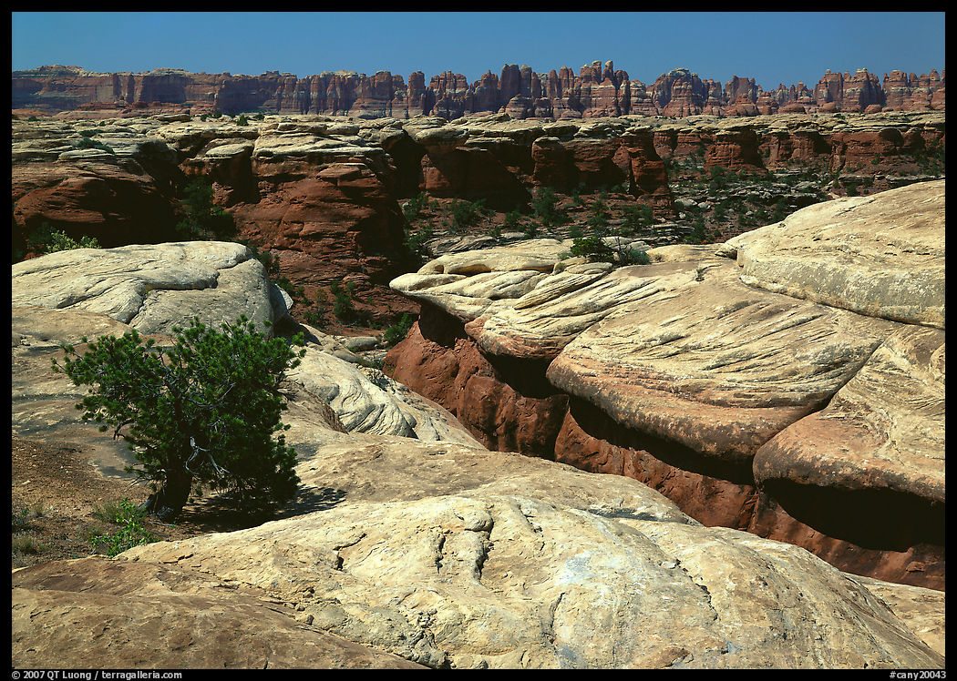 Crack and rock needles near Elephant Hill, mid-day, Needles District. Canyonlands National Park, Utah, USA.