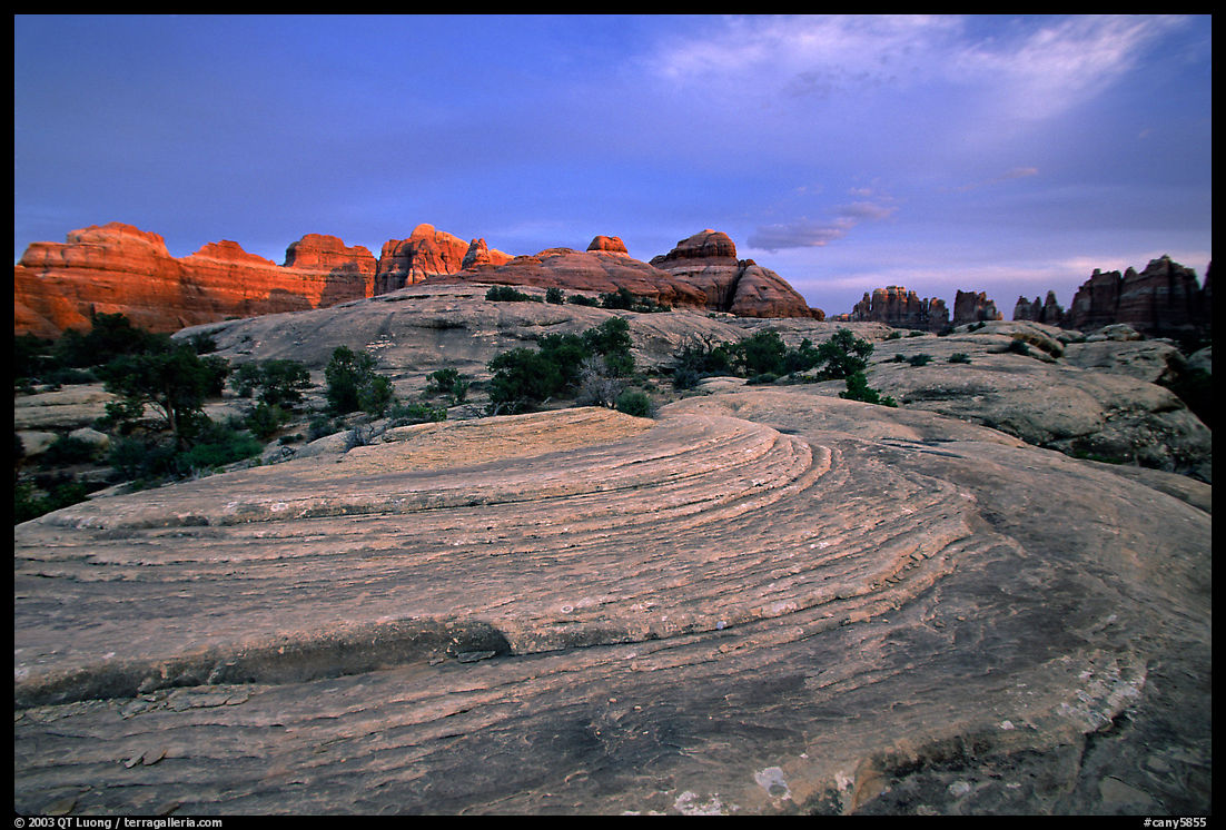 Sandstone swirls and Needles with last light, the Needles. Canyonlands National Park, Utah, USA.