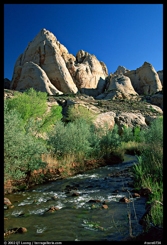 Freemont River and spring vegetation. Capitol Reef National Park, Utah, USA.