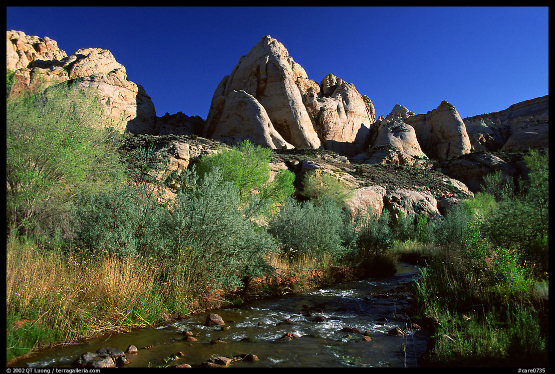 Freemont River and spring vegetation. Capitol Reef National Park, Utah, USA.