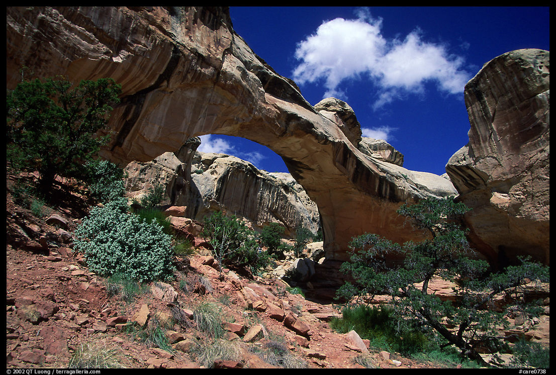Hickman Bridge, mid-day. Capitol Reef National Park, Utah, USA.