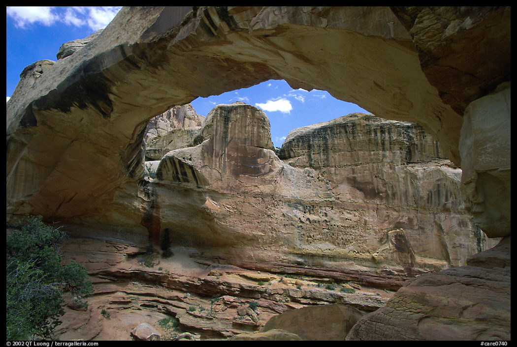 Hickman Bridge, mid-day. Capitol Reef National Park