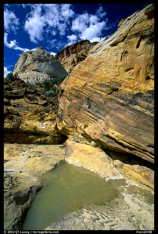 Pockets of water in Waterpocket Fold near Capitol Gorge. Capitol Reef National Park, Utah, USA.