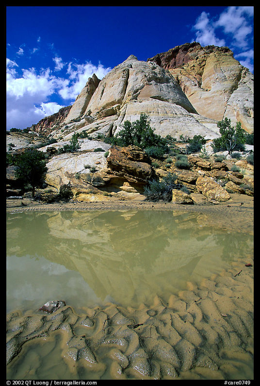 Pockets of water in Waterpocket Fold near Capitol Gorge. Capitol Reef National Park, Utah, USA.