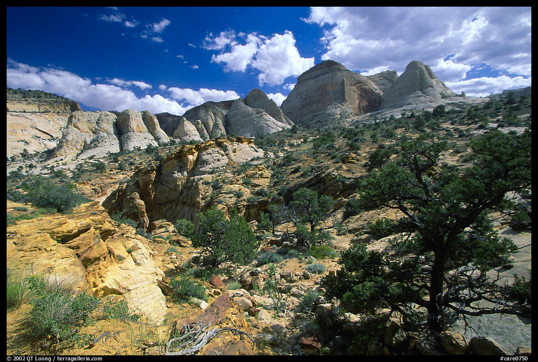 Plateau and domes above Capitol Gorge. Capitol Reef National Park, Utah, USA.