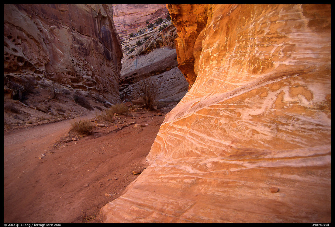 Rock walls, Capitol Gorge. Capitol Reef National Park, Utah, USA.