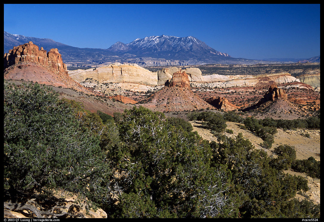 Waterpocket Fold from  Burr trail, afternoon. Capitol Reef National Park