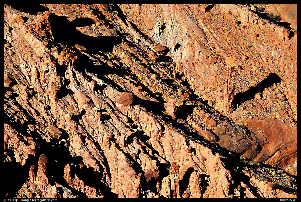 Red slide, early morning. Capitol Reef National Park, Utah, USA.