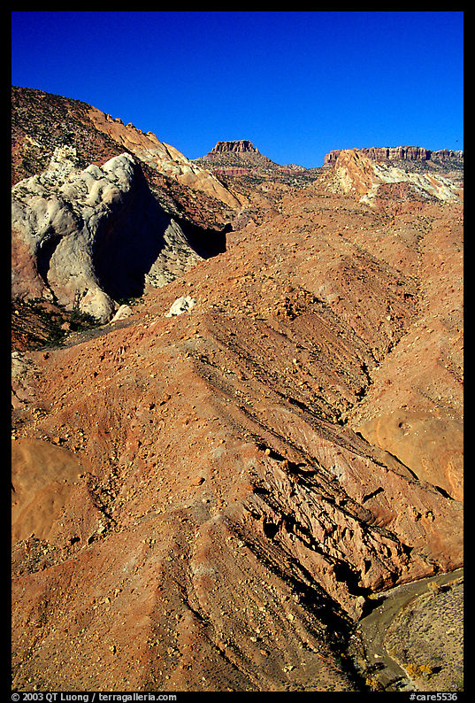 Red slide, morning. Capitol Reef National Park, Utah, USA.