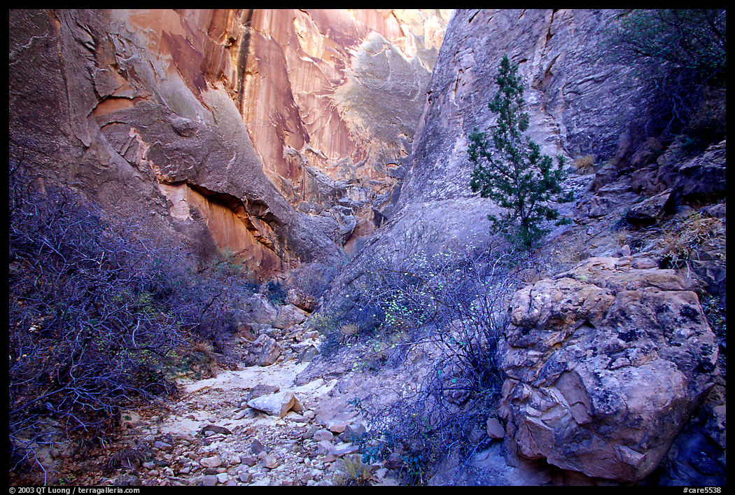 Surprise canyon. Capitol Reef National Park, Utah, USA.