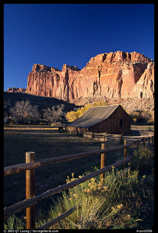 Fence, Old barn, horse and cliffs, Fruita. Capitol Reef National Park, Utah, USA.