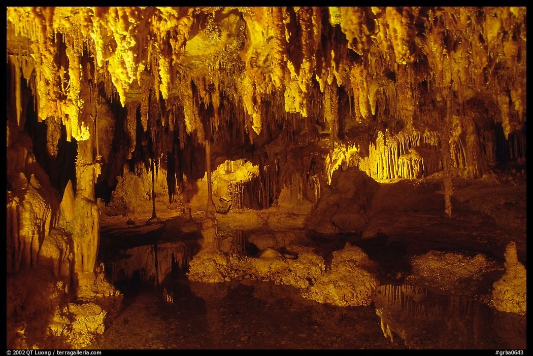 Delicate formations reflected in a pool, Lehman Caves. Great Basin  National Park, Nevada, USA.
