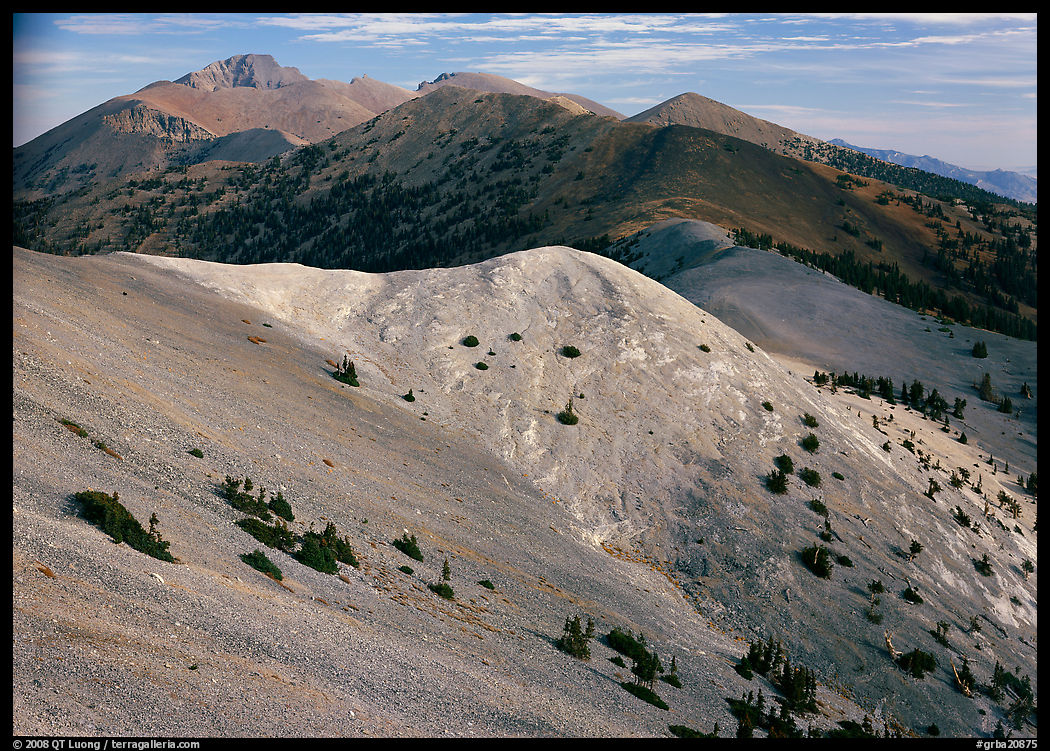 Wheeler Peak and Snake range seen from Mt Washington, morning. Great Basin  National Park, Nevada, USA.