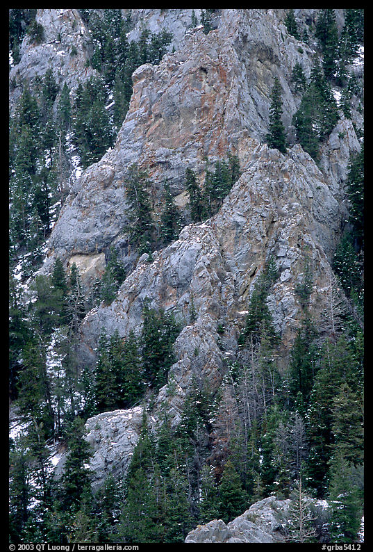 Limestone towers and pine trees near Lexington Arch. Great Basin  National Park, Nevada, USA.