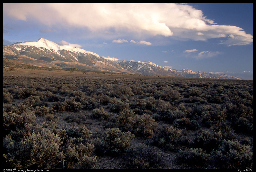 Snake Range and Wheeler Peak raising above Sagebrush, seen from the West, Sunset. Great Basin  National Park