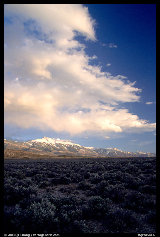 Snake Range and Wheeler Peak raising above Sagebrush, seen from the West, Sunset. Great Basin  National Park, Nevada, USA.