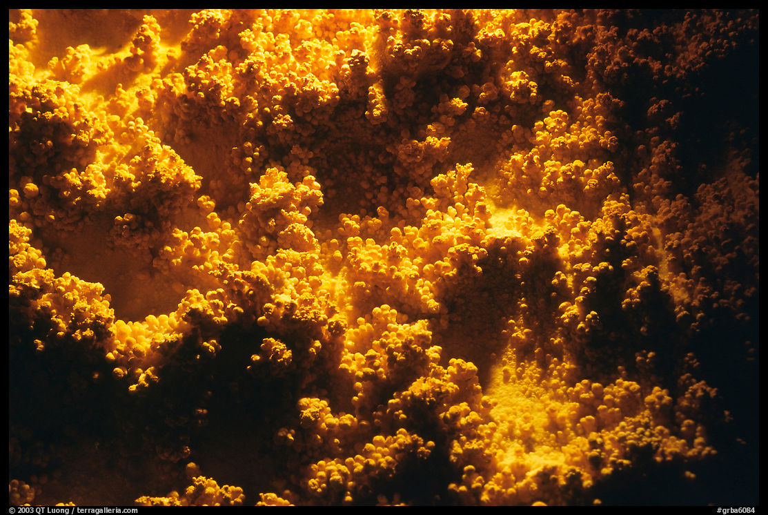 Corn formations, Lehman Cave. Great Basin  National Park, Nevada, USA.