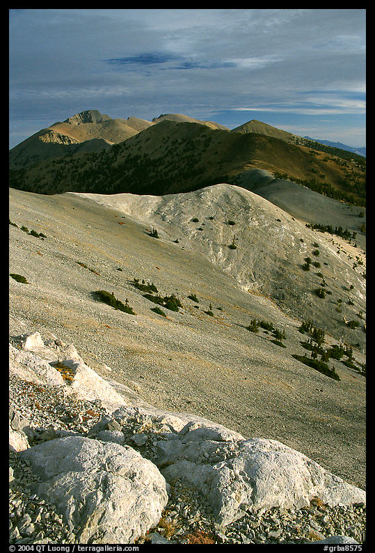 Wheeler Peak and Snake range seen from Mt Washington, morning. Great Basin  National Park