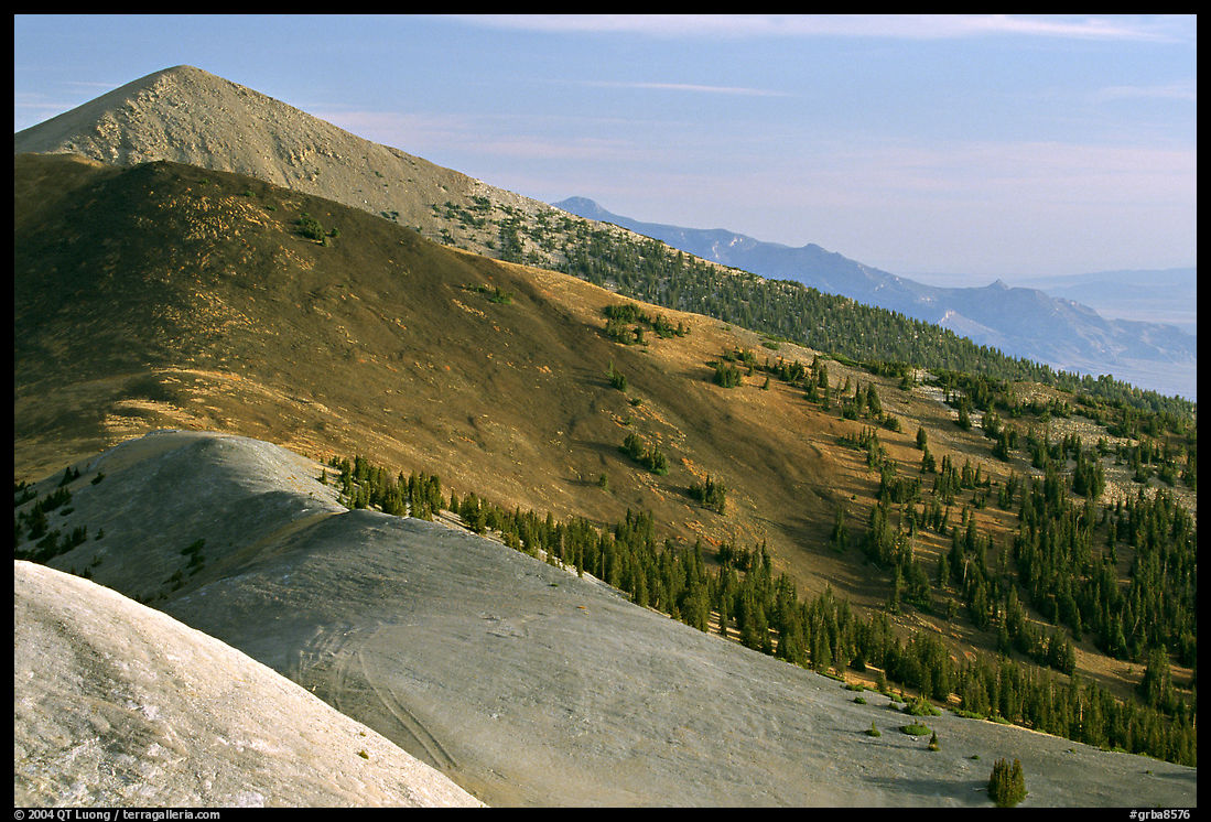 Multi-hued peaks, Snake range seen from Mt Washington, morning. Great Basin  National Park, Nevada, USA.