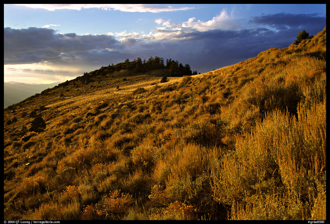 Sage covered slopes at sunset, Snake Range. Great Basin  National Park, Nevada, USA.