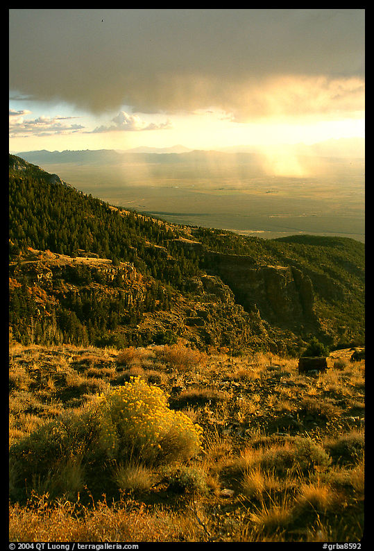 Sage covered slopes above Spring Valley. Great Basin  National Park, Nevada, USA.