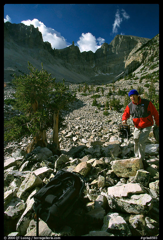 Photographer in Wheeler Peak cirque. Great Basin  National Park, Nevada, USA.