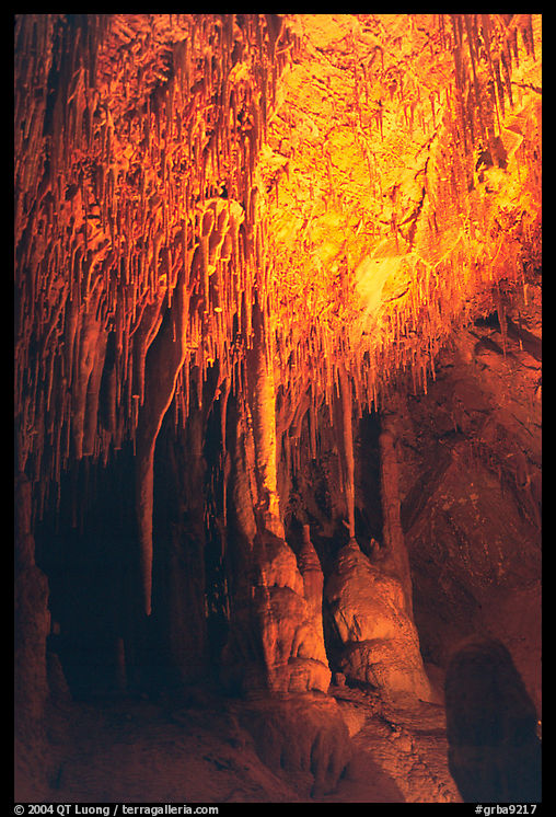 Soda Straws formations in Lehman Cave. Great Basin  National Park, Nevada, USA.