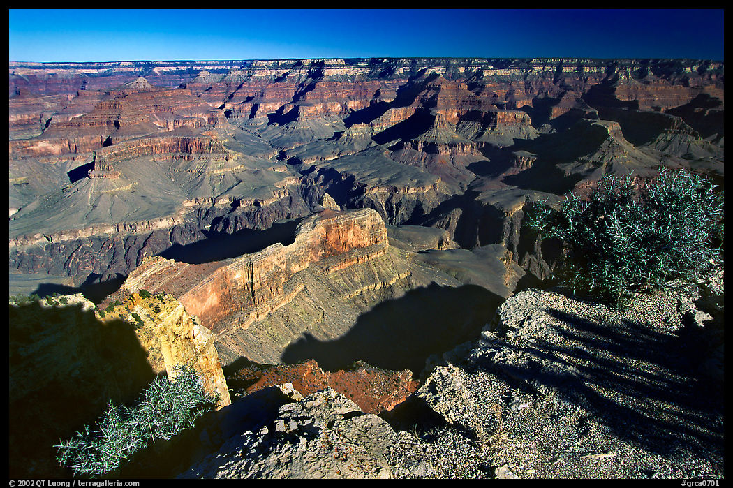 View from Hopi point, morning. Grand Canyon  National Park, Arizona, USA.