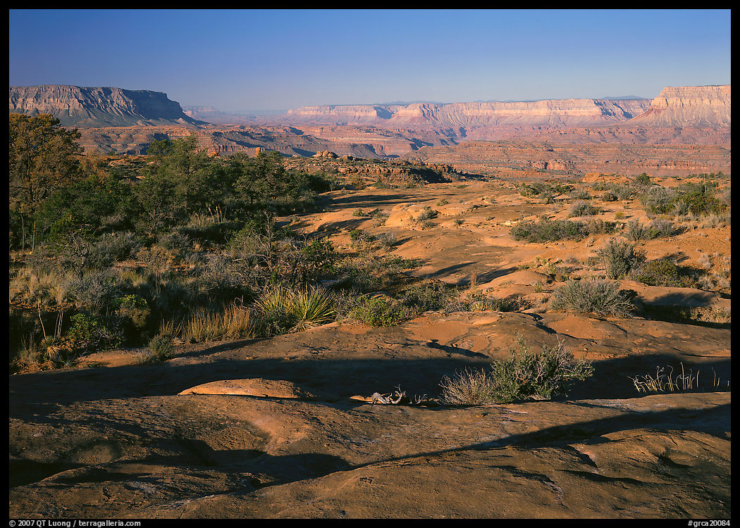 Rock slabs on  Esplanade, early morning. Grand Canyon  National Park, Arizona, USA.