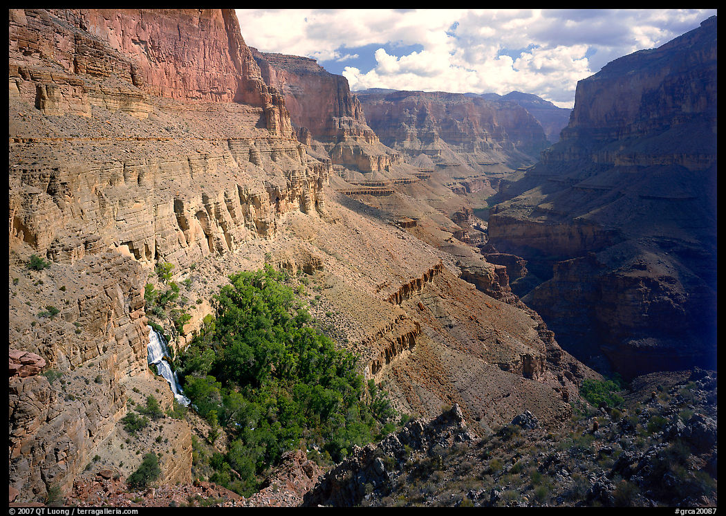 Thunder Spring Oasis at  mounth of Tapeats Creek secondary canyon. Grand Canyon  National Park, Arizona, USA.