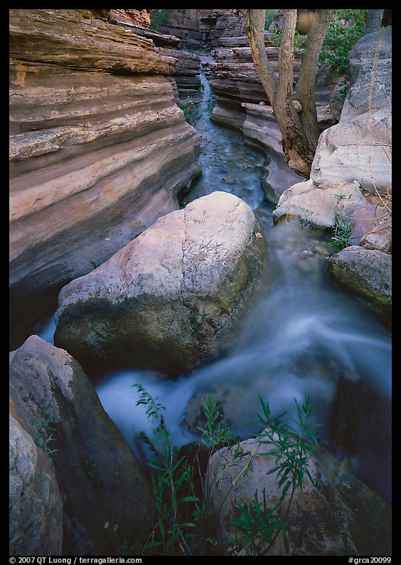 Entrance of Deer Creek Narrows. Grand Canyon  National Park, Arizona, USA.