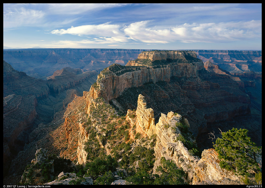 Wotans Throne seen from  North Rim, early morning. Grand Canyon  National Park, Arizona, USA.
