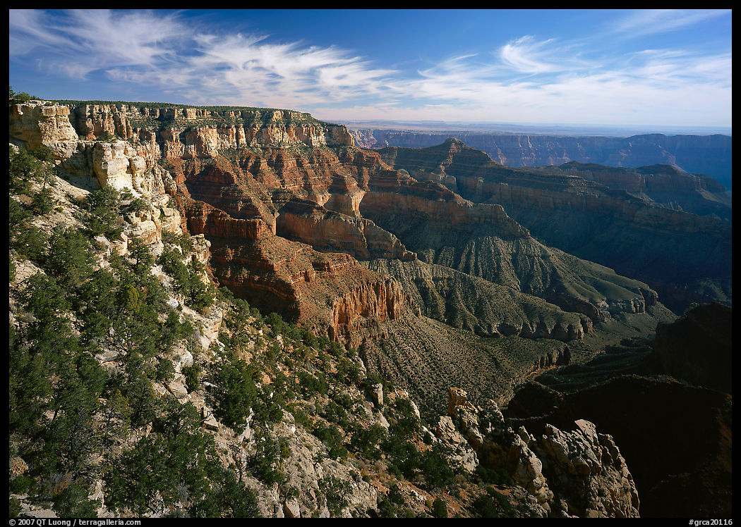 Rim near Cape Royal. Grand Canyon  National Park