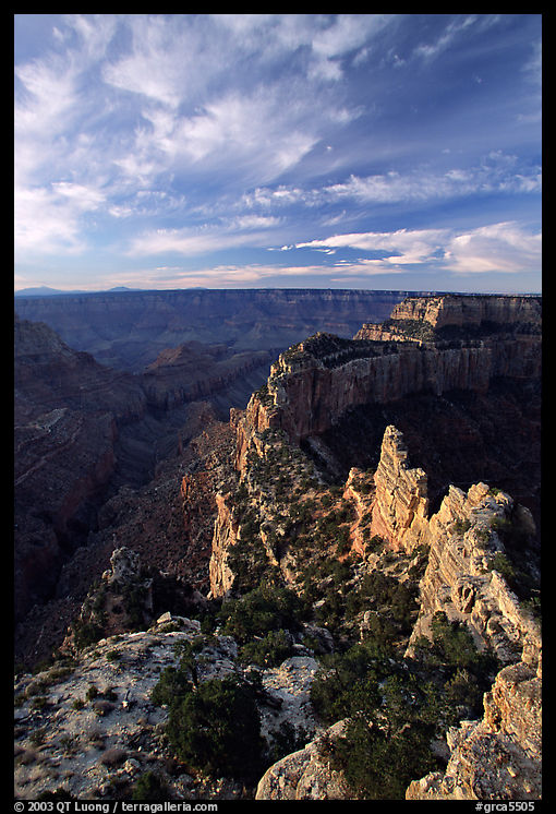 Wotan's Throne seen from Cape Royal, early morning. Grand Canyon  National Park, Arizona, USA.