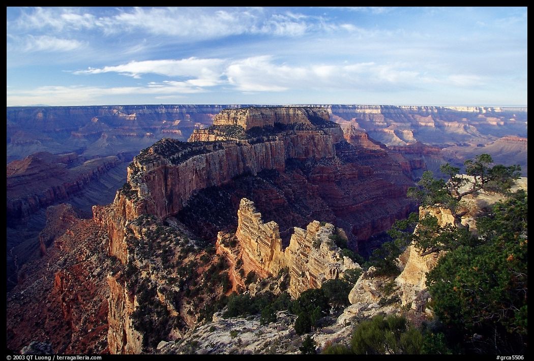 Wotan's Throne seen from Cape Royal, early morning. Grand Canyon  National Park, Arizona, USA.