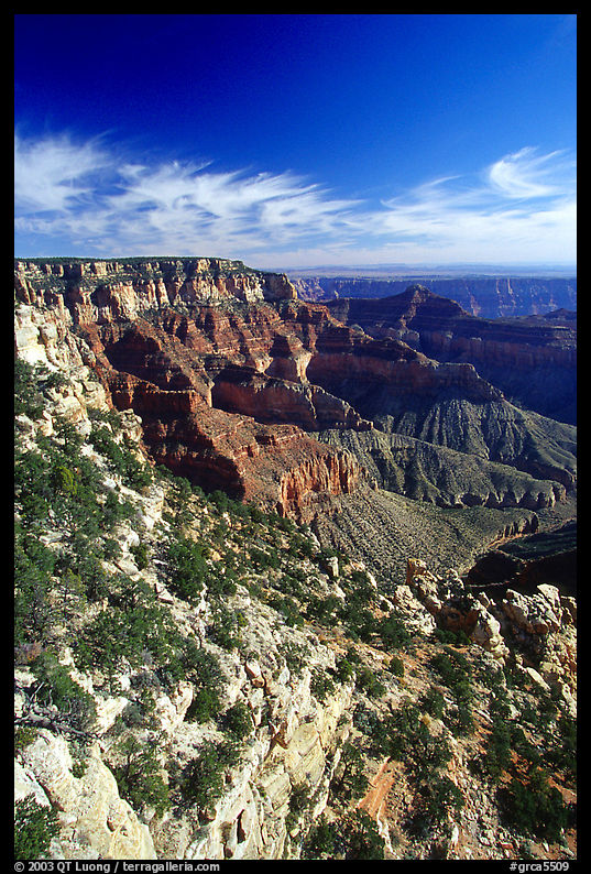 Cliffs near Cape Royal, morning. Grand Canyon  National Park