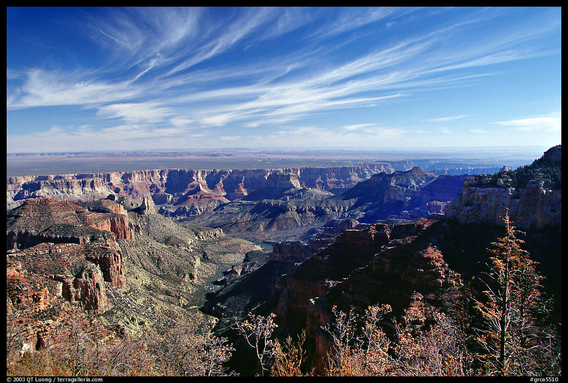 View from Vista Encantada, morning. Grand Canyon  National Park, Arizona, USA.