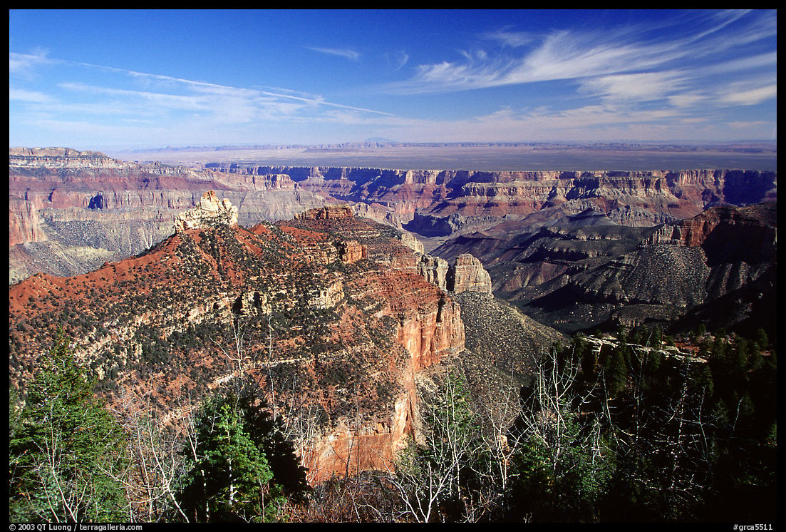 View from Roosevelt Point, morning. Grand Canyon  National Park, Arizona, USA.