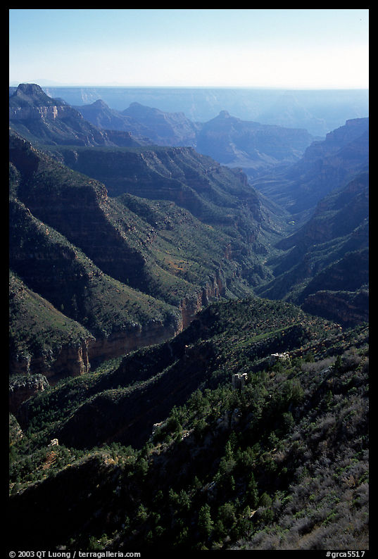 Green side canyon on  road to Point Sublime. Grand Canyon  National Park, Arizona, USA.