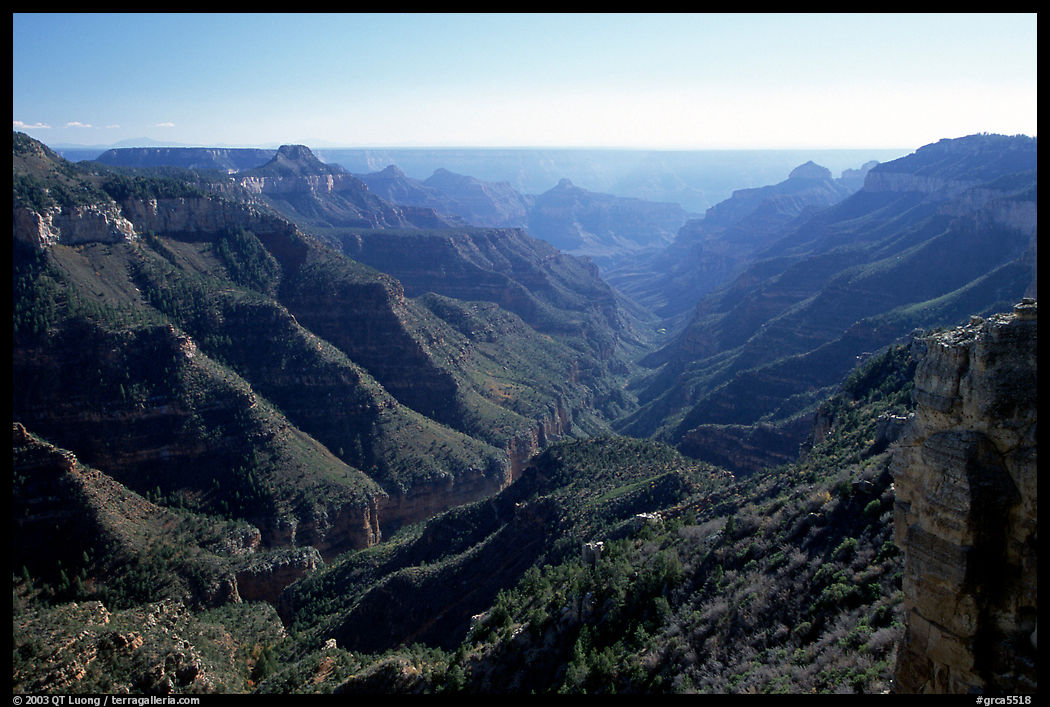 Lush side canyon, North Rim. Grand Canyon  National Park, Arizona, USA.