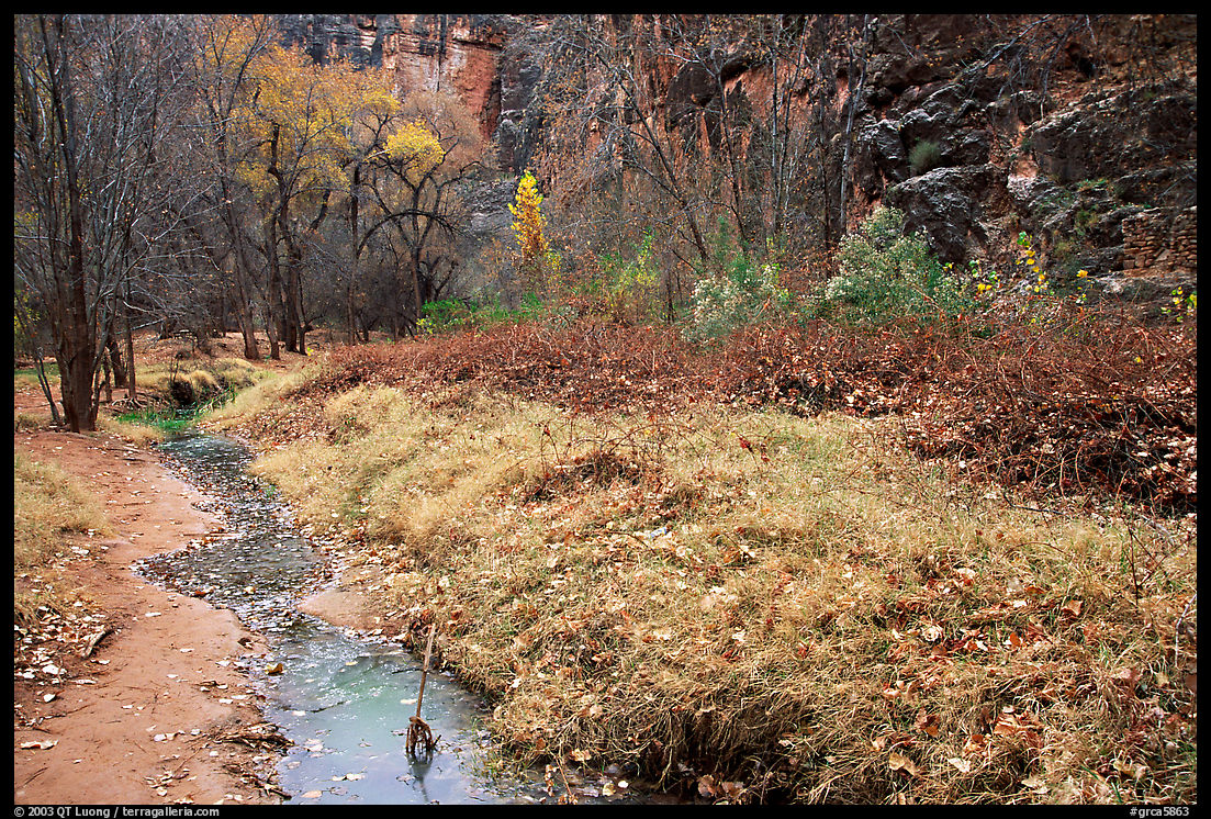 Creek in Havasu Canyon, late fall. Grand Canyon  National Park, Arizona, USA.