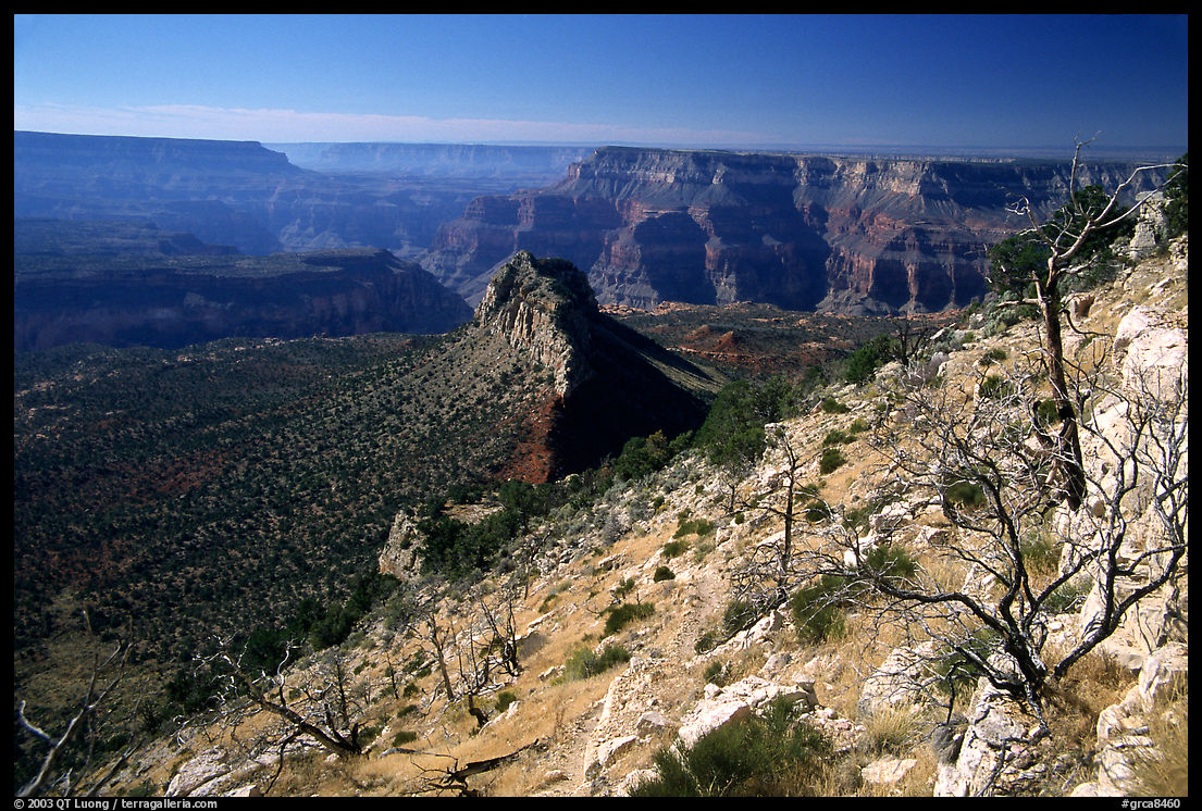 Bridger Knoll and burned slope from Monument Point, morning. Grand Canyon  National Park, Arizona, USA.