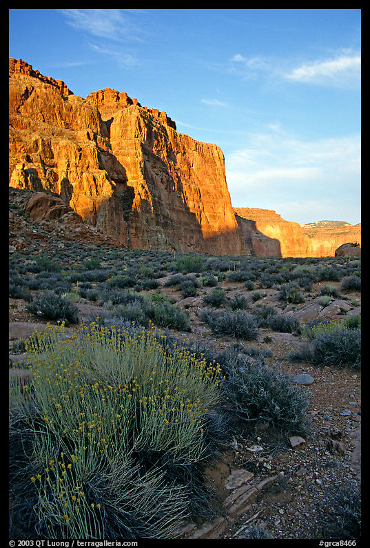 Red wall seen from Surprise Valley, sunset. Grand Canyon  National Park