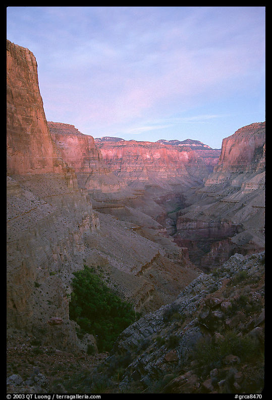 Tapeats Creek, dusk. Grand Canyon  National Park, Arizona, USA.